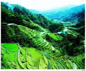 Puzzle Ρύζι Terraces των Φιλιππίνων Αμερικανικές κορδιλιέρες
